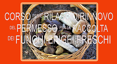 Corso per il rilascio/rinnovo del permesso per la raccolta dei funghi epigei